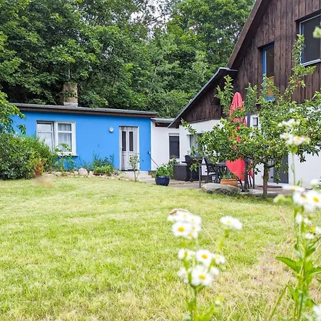 - Reetdachhaus